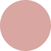 nav icon